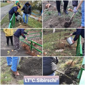 Campania de înverzire și plantare a arborilor in Liceul Teoretic Constantin Sibirschi